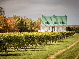 Panache Mobile Auberge Saint-Antoine